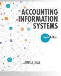 Image of Accounting information systems