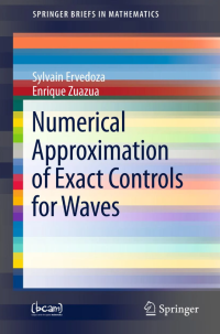 Image of Numerical approximation of exact controls for waves
