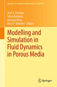 Image of Modelling and simulation in fluid dynamics in porous media